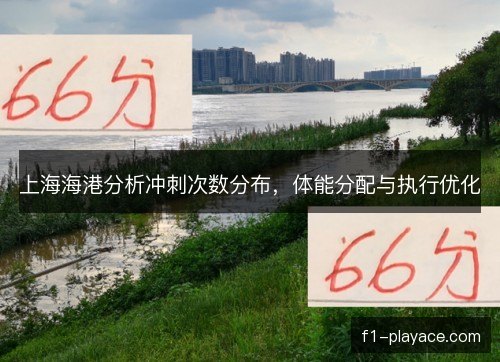 上海海港分析冲刺次数分布，体能分配与执行优化